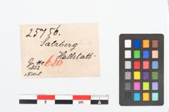 Etikett zu Bronzebogenfibel (NHMW-PRAE-025756)